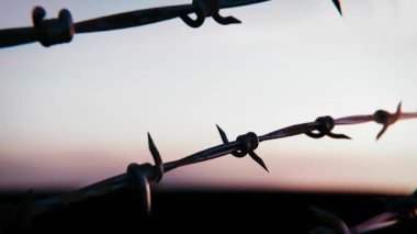 Alacakaranlık Gökyüzüne Karşı Dikenli Tel Silueti