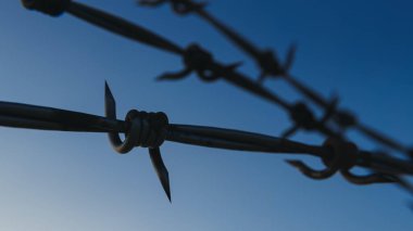 Paslı dikenli tellere yakın plan, sığ alan derinliği, hapis ya da hapsedilme kavramı. 3d oluşturma