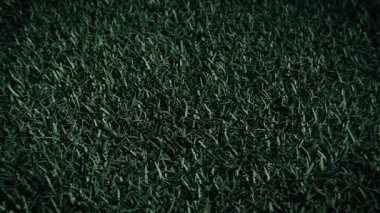 Futbol Topu Yuvarlanan Yeşil Çimen Bölgesi Kopyalama Alanı