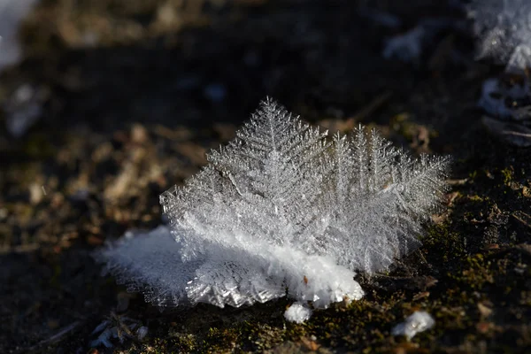 Ledové krystaly closeup — Stock fotografie