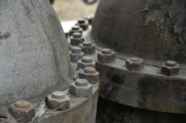 Eski borular ve fındık