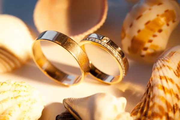 Anillos de boda en la arena con conchas — Foto de Stock