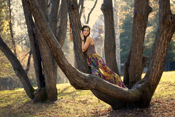 Hippie Chica y árbol — Foto de Stock