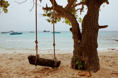 Ağaçta salıncak. Deniz.