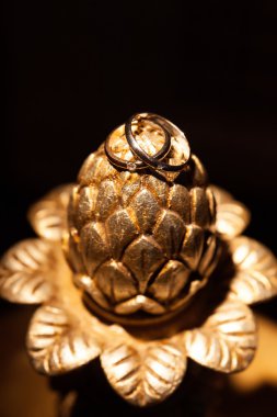 Alyans bir metalik bronz rengi