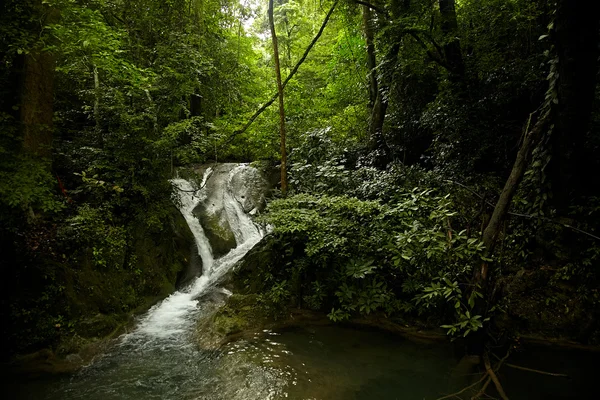 雨林中的瀑布 — 图库照片