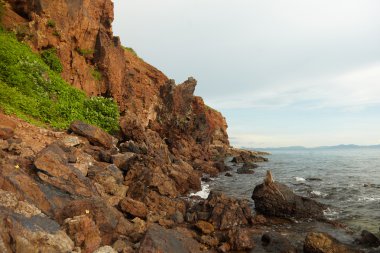 Maymunlar kayalık deniz kenarı