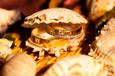 Alyans içinde sarı deniz hayvanı kabuğu