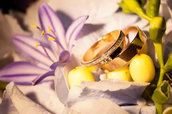 Anillos de boda en flores — Foto de Stock