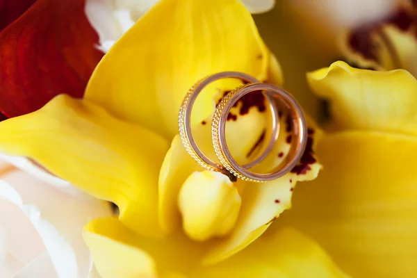 Anillos de boda en la orquídea de flores — Foto de Stock
