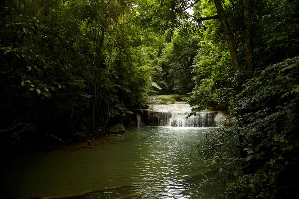 Cascata nella foresta pluviale — Foto Stock