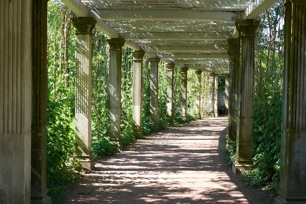 St. Petersburg Catherine Park Colonnade — Stock Photo, Image