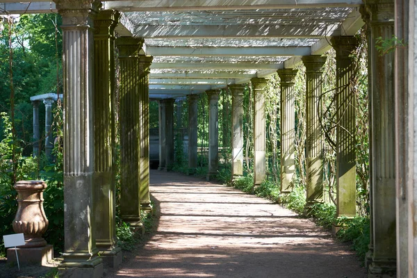 St. Petersburg Catherine Park Colonnade