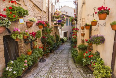 Çiçek sokaklarında Spello Umbria, İtalya.