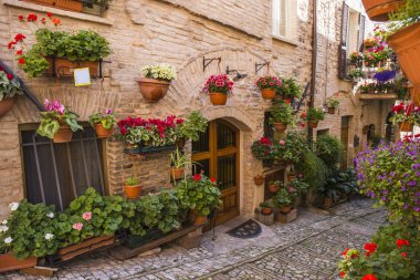 Çiçek sokaklarında Spello Umbria, İtalya.