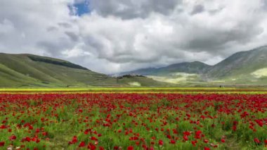 Norcia, İtalya Sibillini dağlarında Castelluccio düz Timelapse