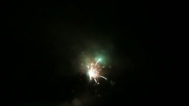 Büyük renkli havai fişek karanlık gökyüzü ile göster. 