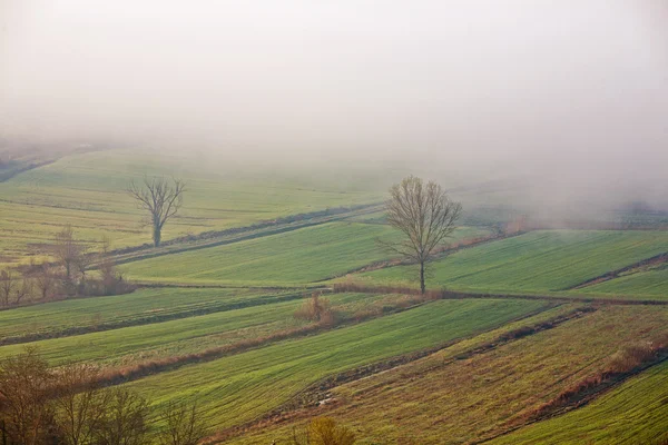 Landschaft mit Nebel in Italien — Stockfoto