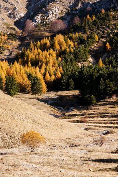 Hösten i Abruzzo — Stockfoto