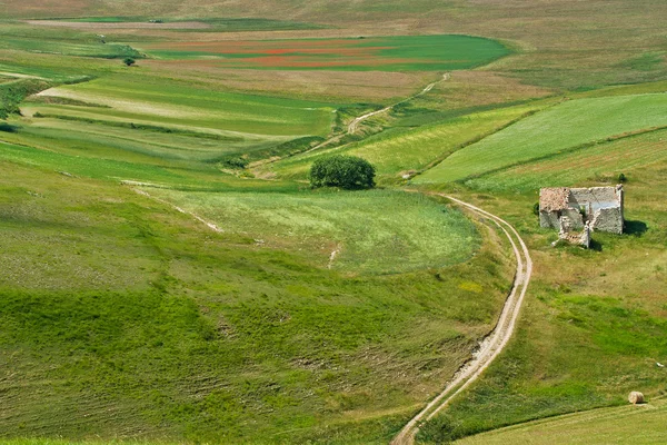 Paysage de la plaine de Castelluccio, en Italie — Photo