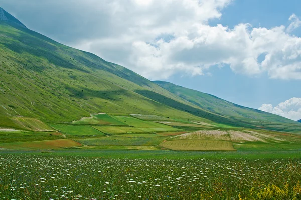 Landscape of the plain of Castelluccio, in Italy — Stock Photo, Image