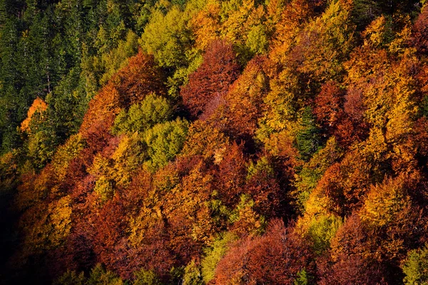 Herfst in Abruzzen — Stockfoto