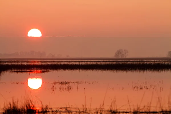 Ηλιοβασίλεμα στην Ουγγαρία — Φωτογραφία Αρχείου