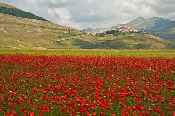 Paisaje de la llanura de Castelluccio, en Italia —  Fotos de Stock