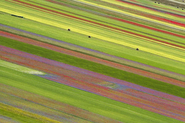 Manzara düz Castelluccio, İtalya