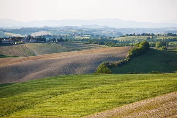 De toskanska kullarna — Stockfoto