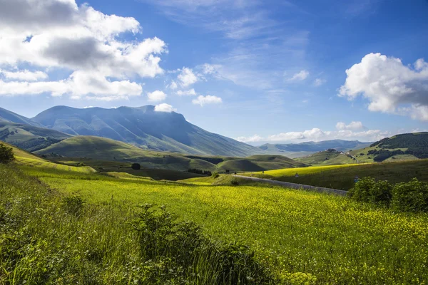 Landscape of the plain of Castelluccio, in Italy — Stock Photo, Image