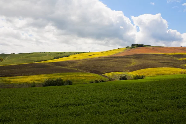 Die Hügel der Toskana — Stockfoto