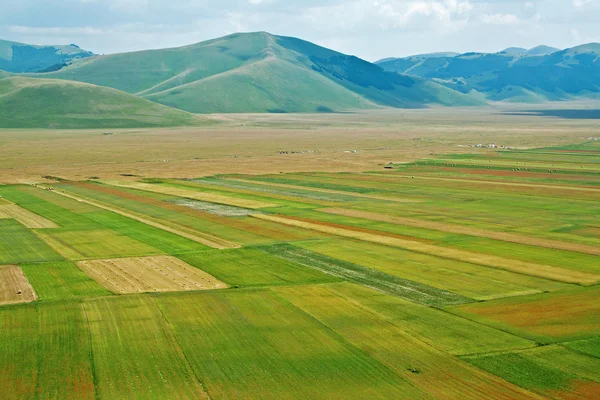 Manzara düz Castelluccio, İtalya