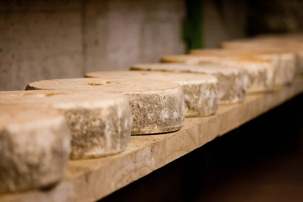 Valtellina, İtalya için yüksek dağlarda peynir üretimi