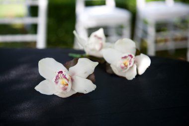 Ayıklayacaktır için çiçek dekorasyon