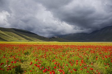 Manzara düz Castelluccio, İtalya