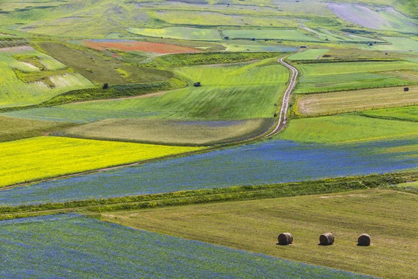 Landscape of the plain of Castelluccio in Italy — Stock Photo, Image