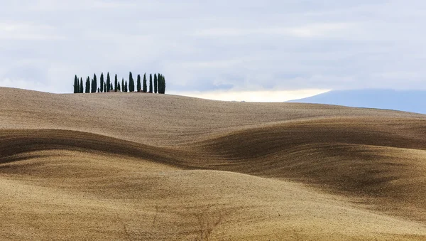 The Tuscan hills — Stock Photo, Image