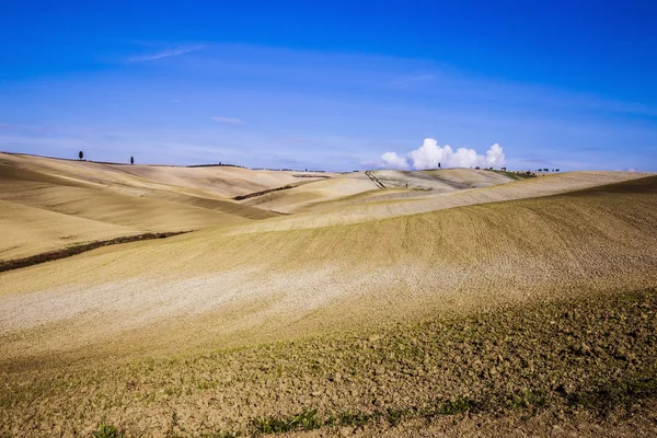 Les collines toscanes — Photo