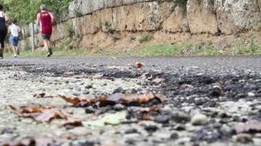 Viterbo eyaletinde çalışan