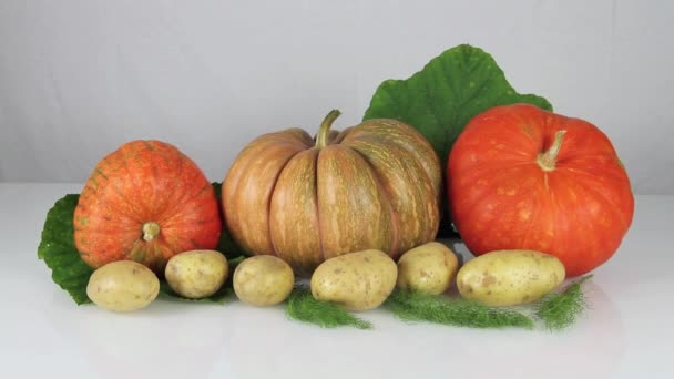 Pumpkins e pommes de terre sur fond blanc — Video