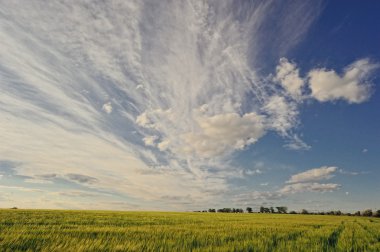 güzel kırsal manzara