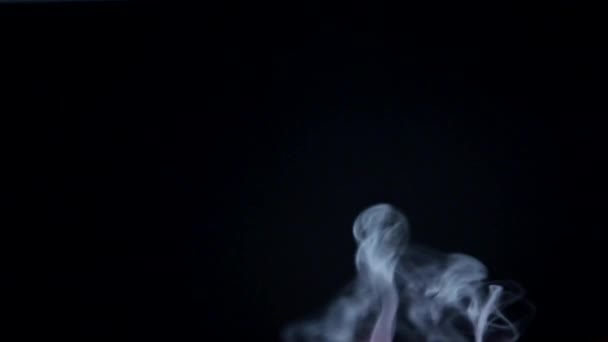 Saf siyah arka plan üzerine buhar veya duman Vfx öğesi — Stok video