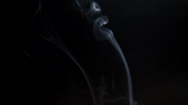 Vapor ou fumaça VFX elemento em fundo preto puro — Vídeo de Stock