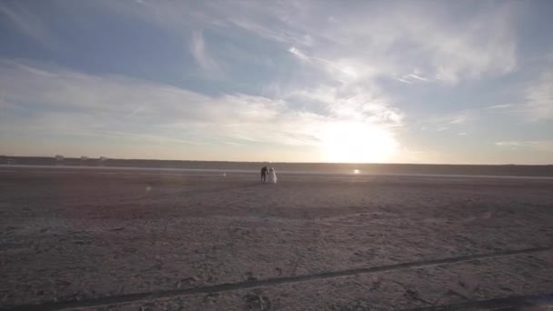 Le marié et la mariée marchent près de la mer — Video