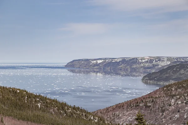 Úszó jég Cabot Trail — Stock Fotó