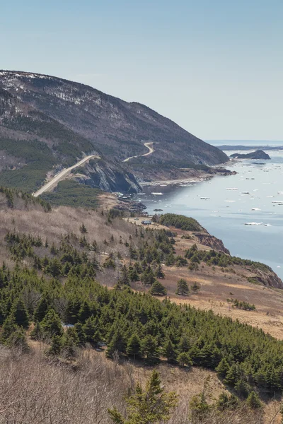 Winding Road at Cabot Trail Vertical