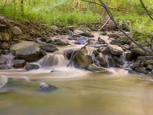 Ormandaki basamaklı Nehri