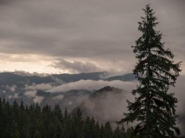 Cabana Curmatura görünümünden