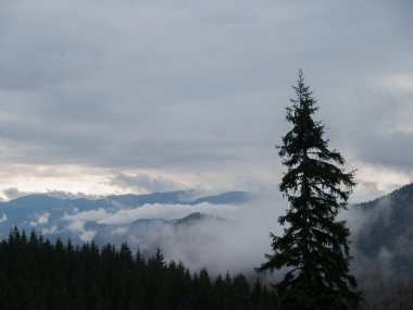 Cabana Curmatura görünümünden